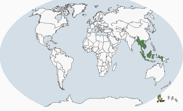 橫斑翠鳥分布圖