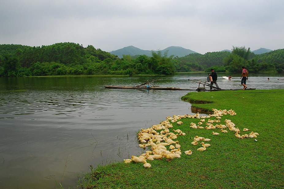 閘口水庫