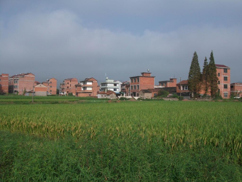 南湖村(福建省莆田華亭鎮轄村)