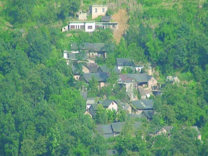 沙心自然村(雲南省昭通市鎮雄縣羅坎鎮軍備村轄自然村)