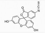 5-異硫氰酸螢光素