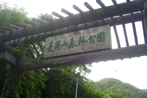 長崗山森林公園