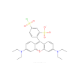 麗絲胺鹼性蕊香紅B磺醯氯