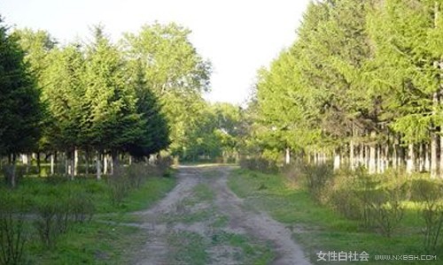 鎮海寺公園