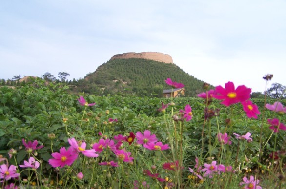 延慶南寨坡遺址