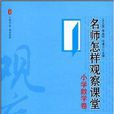 大夏書系·名師怎樣觀察課堂(名師怎樣觀察課堂)