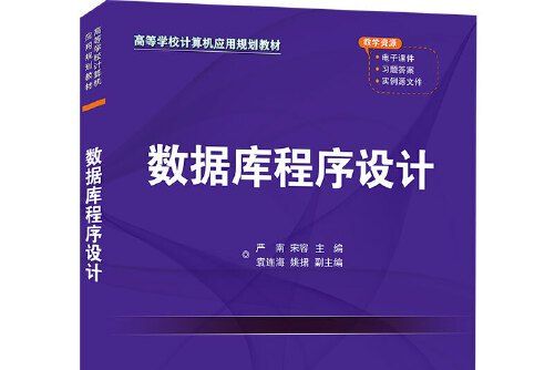 資料庫程式設計(2021年清華大學出版社出版的圖書)