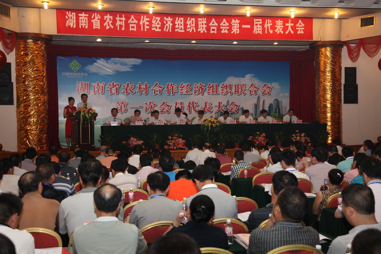 湖南省人民政府辦公廳關於加強農村集體經濟組織征地補償費分配使用監督管理的通知