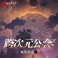 跨次元公會(殤星次元著網路小說)