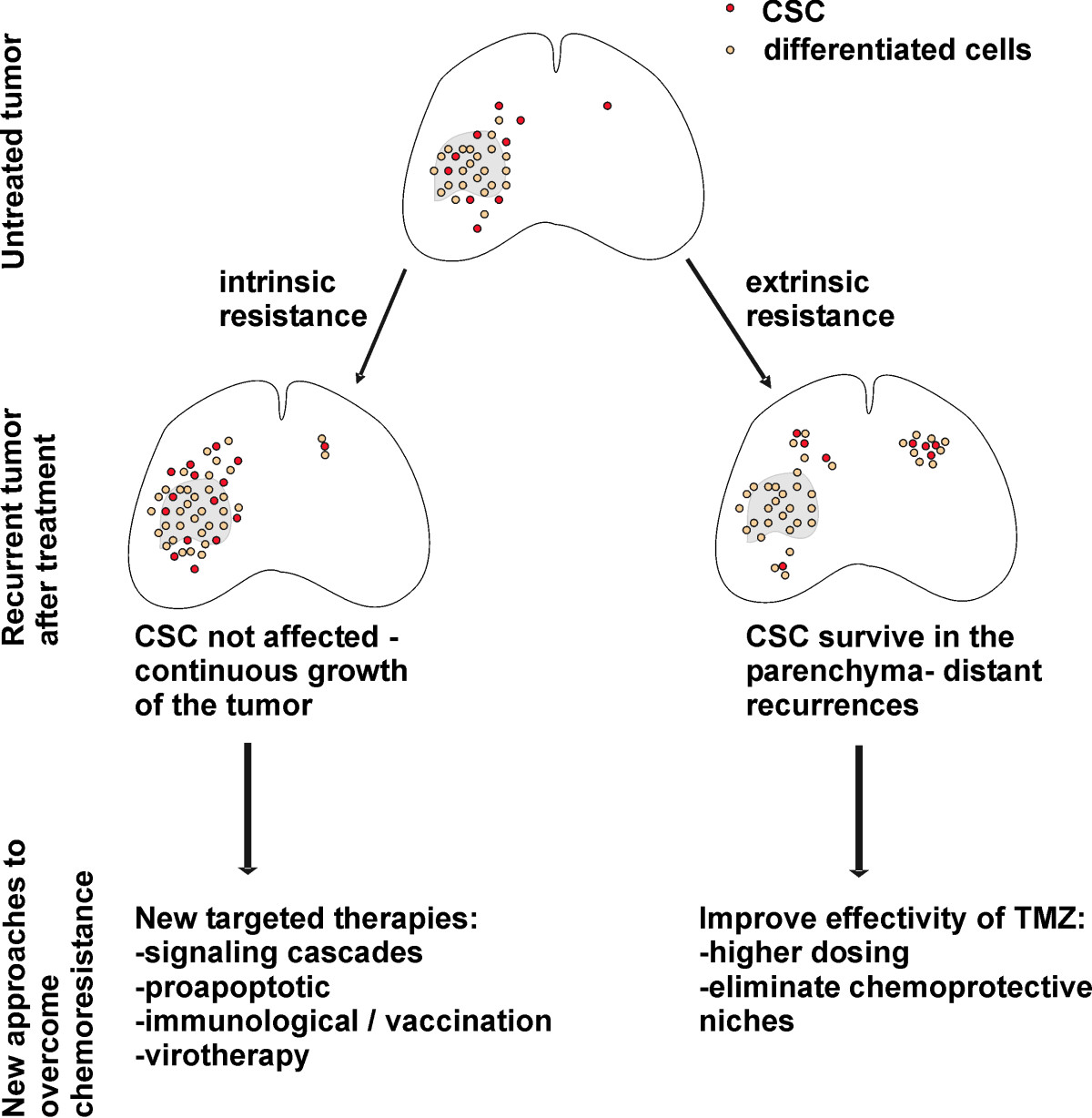 Intrinsic resistance exemple