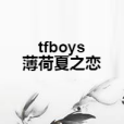 tfboys薄荷夏之戀