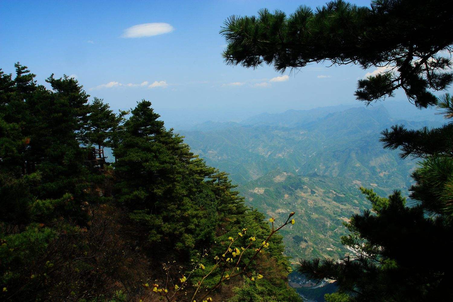 天竺山林場