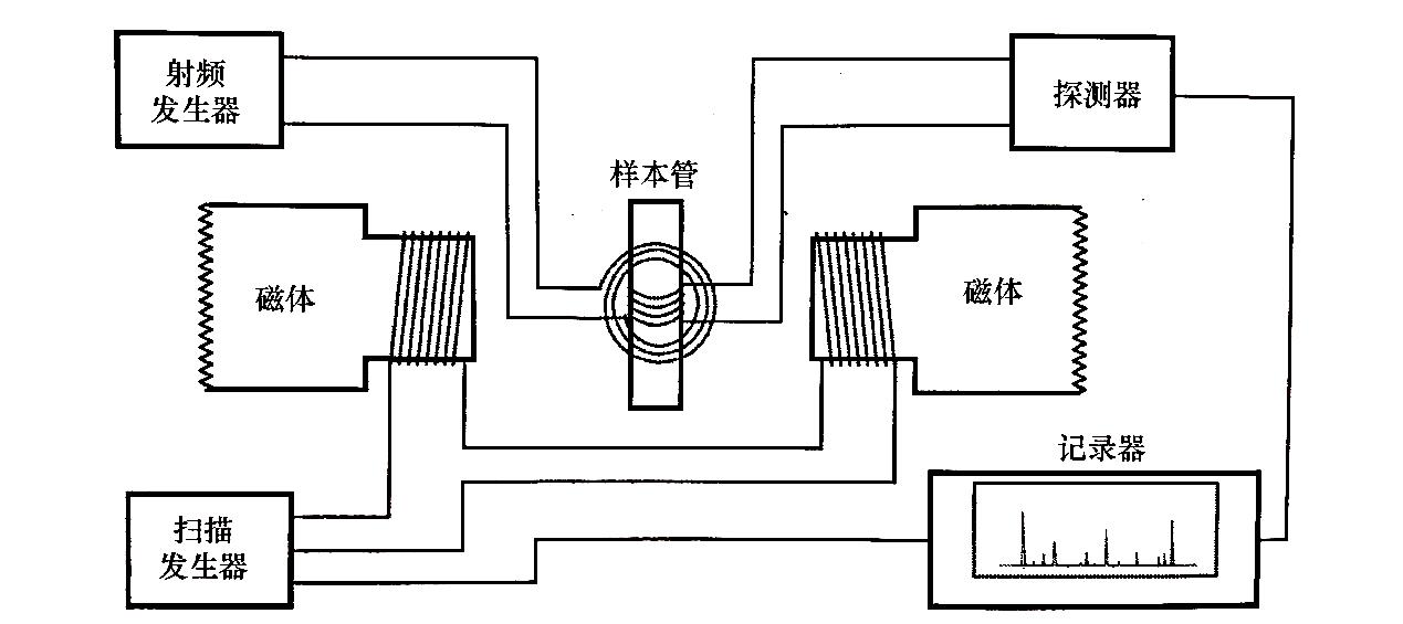 圖1 磁共振波譜分析儀組成框圖