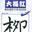 柳體玄秘塔習字帖：偏旁結構2 （平裝）