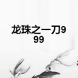 龍珠之一刀999