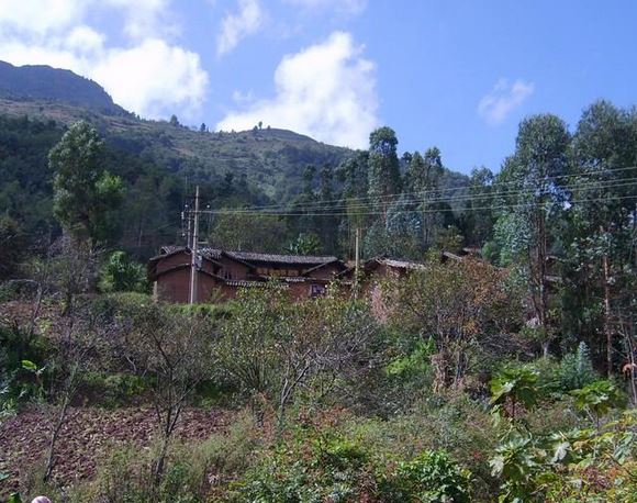 白泥塘村(華寧縣盤溪鎮新村村民委員會下轄村)