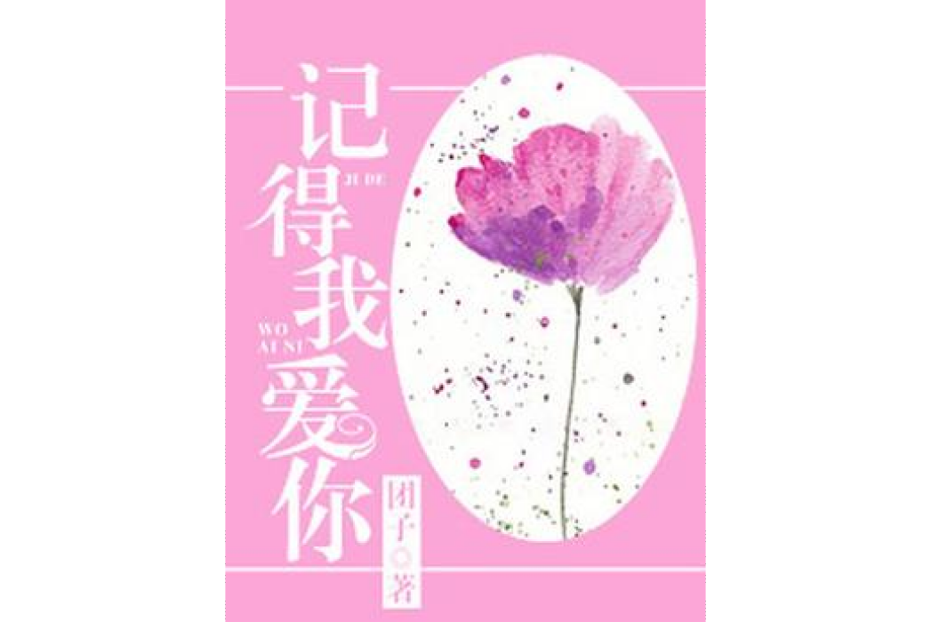 記得我愛你(糰子所著小說)