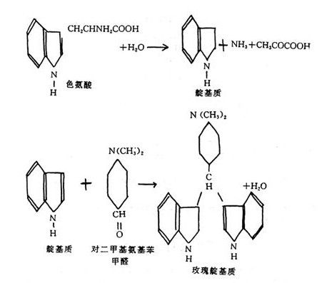 胸腺嘧啶氮芥