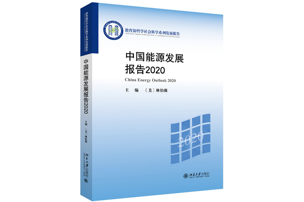中國能源發展報告2020