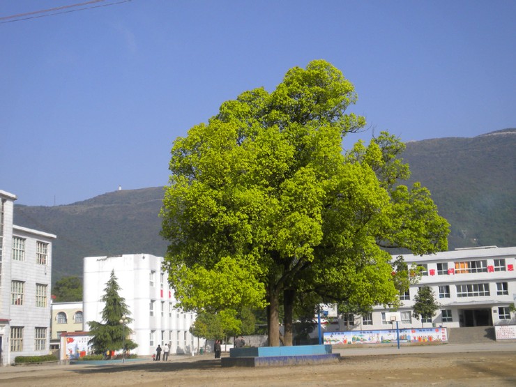 利川市南坪鄉民族初級中學