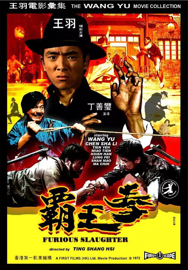 霸王拳(1972年丁善璽執導電影)