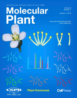 Molecular Plant