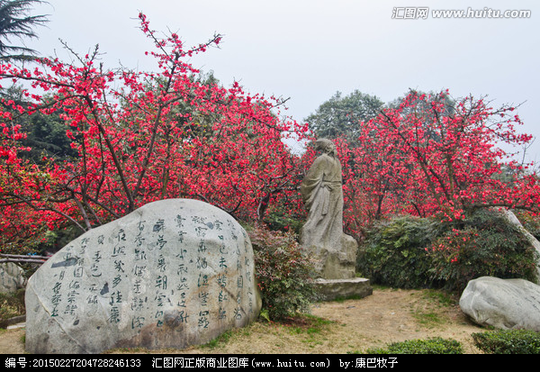 海棠(南宋陸游詩作)