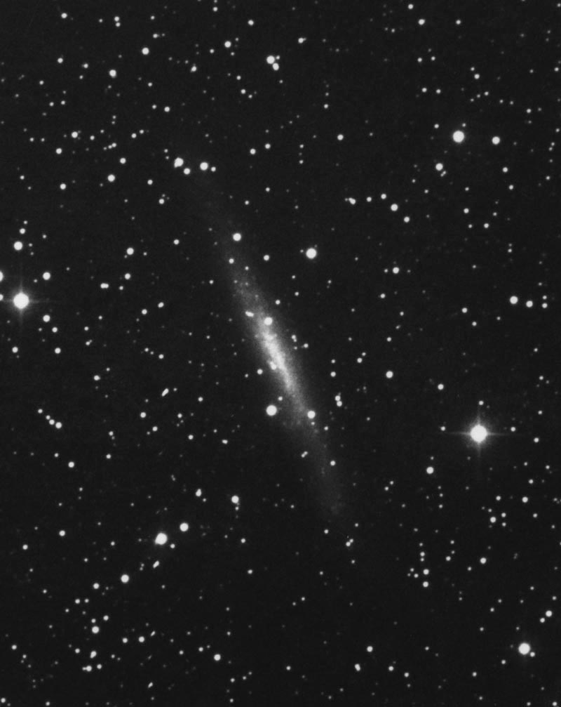 NGC 1560