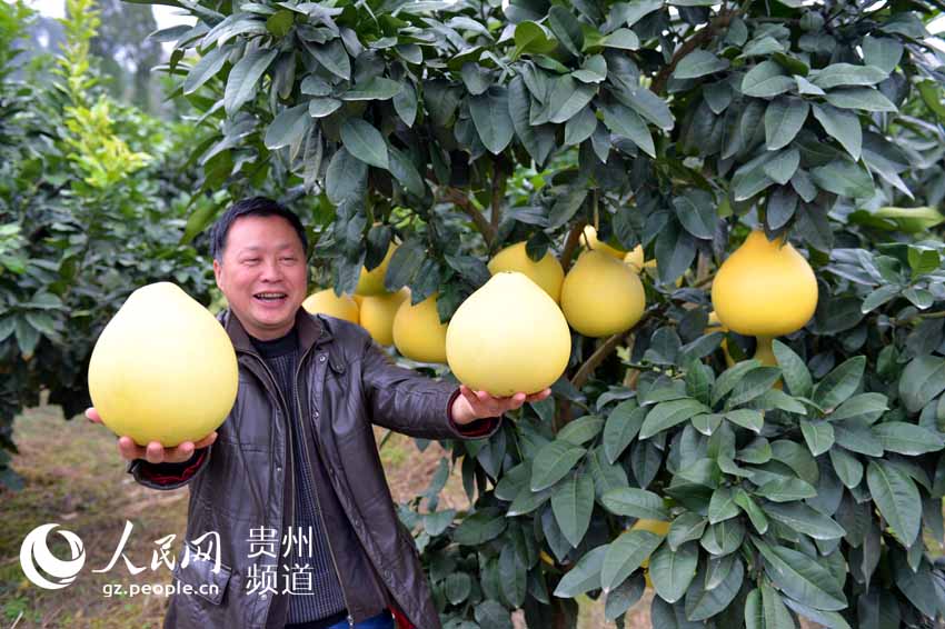 太平營鄉