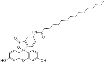 5-（N-十六烷醯）氨基螢光黃