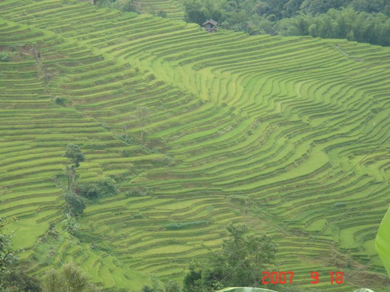 田園耕地