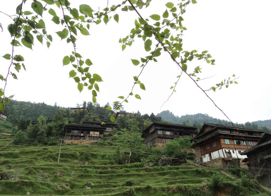 石坪村(昭通永善縣細沙鄉下轄村)