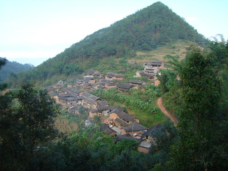 龍塘村(雲南省威信縣麟鳳鄉龍塘村)