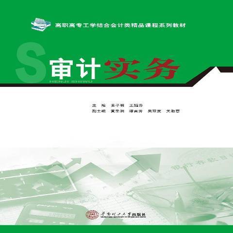 審計實務(2017年華南理工大學出版社出版的圖書)