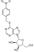 S-（4-硝基苄基）-6-硫肌苷