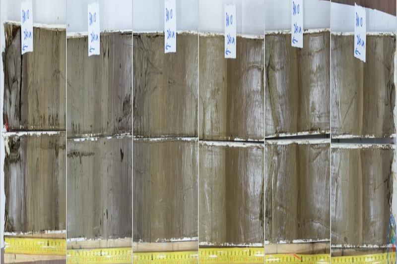 4次北極加拿大海盆柱狀沉積物ARC4_BN10