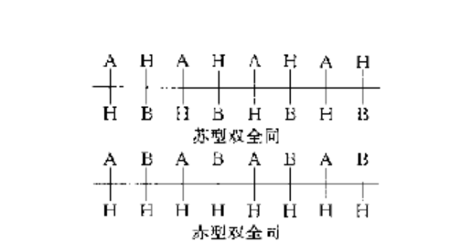 雙全同立構聚合物