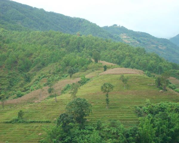 緒遠山村