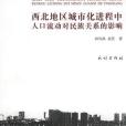 西北地區城市化進程中人口流動對民族關係的影響