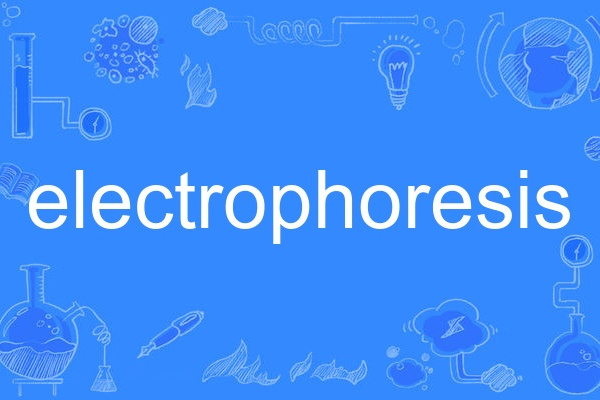 electrophoresis