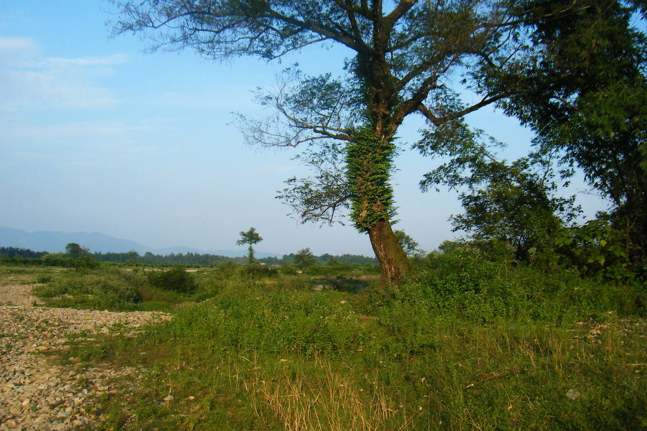 泉水妙村