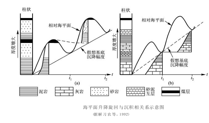 聚煤作用