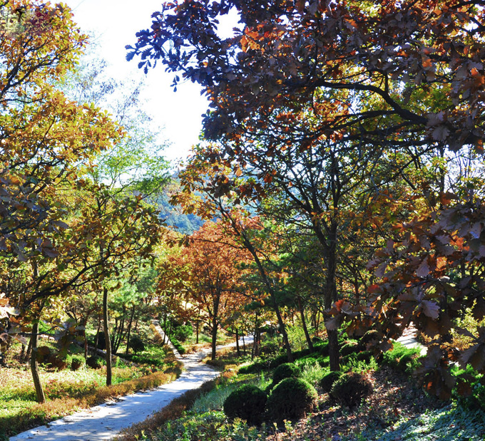 藥草園