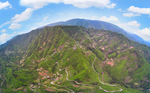 盤龍村(貴州遵義赤水市兩河口鄉盤龍村)