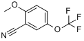 2-甲氧基-5-（三氟甲氧基）苯甲腈