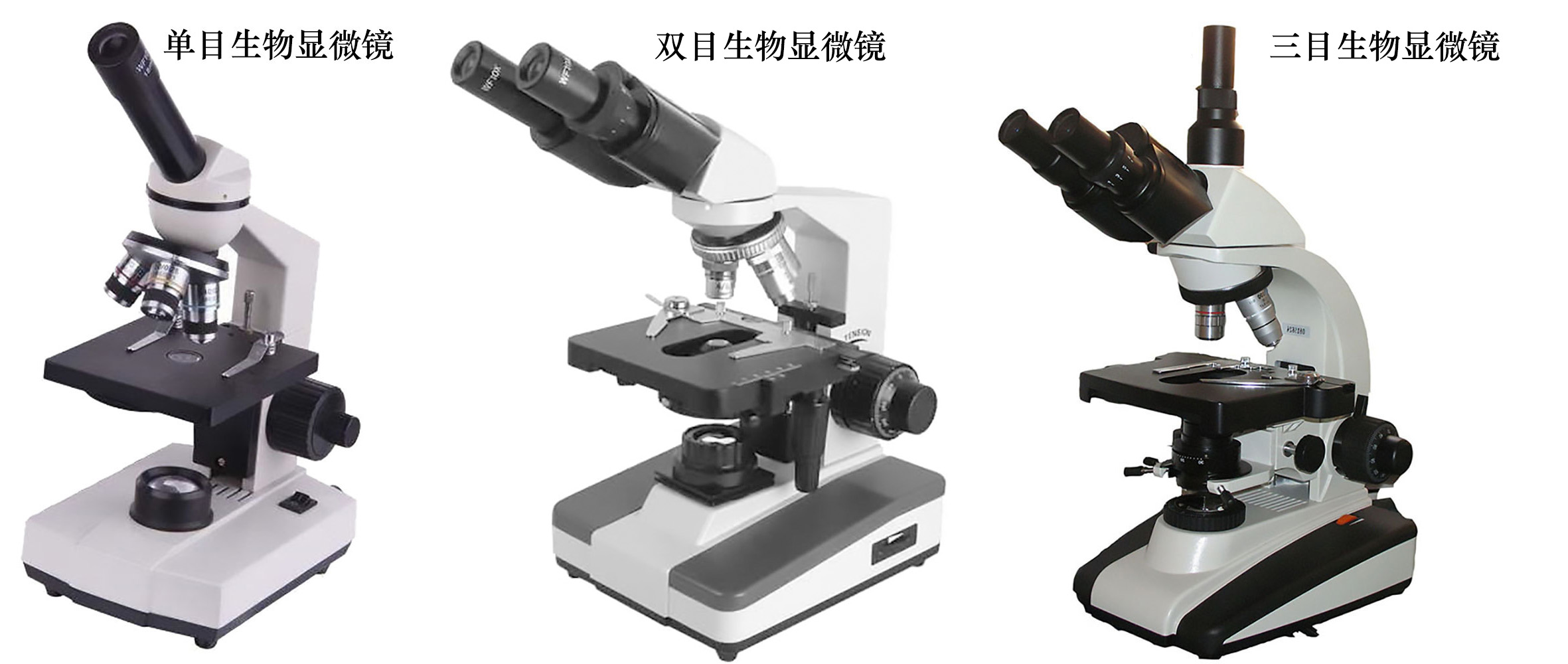 生物顯微鏡