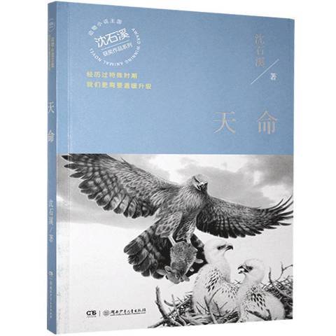 天命(2021年湖南少年兒童出版社出版的圖書)