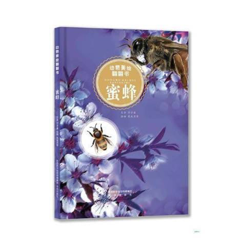 蜜蜂(2019年未來出版社出版的圖書)