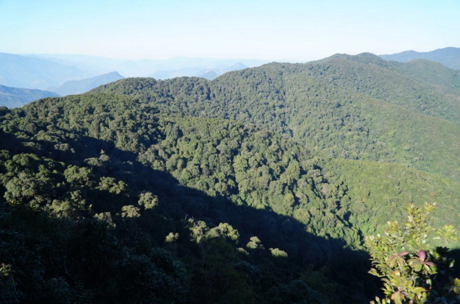 雲南靈寶山國家森林公園