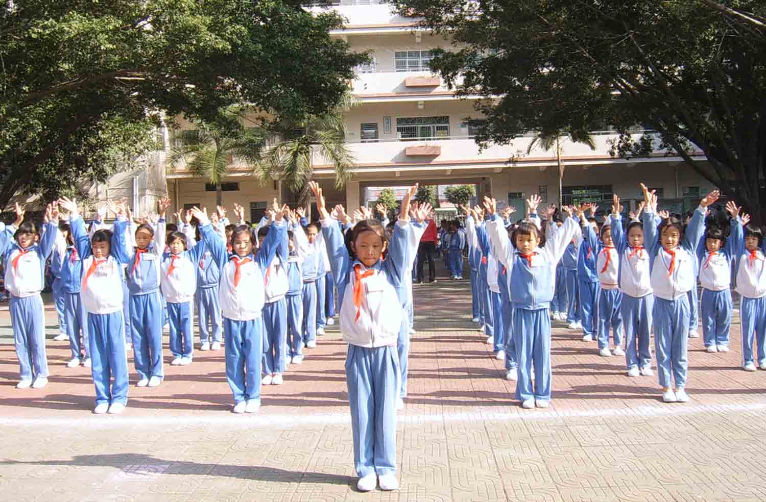 深圳市龍崗區木棉灣國小